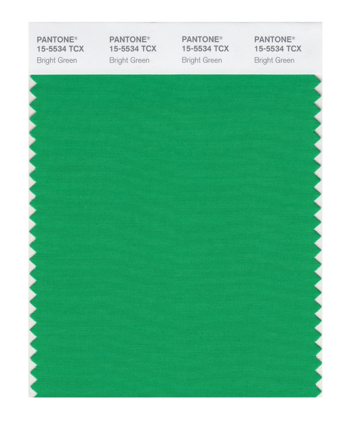 Pantone Cotton Swatch 15-5534 Bright Green
