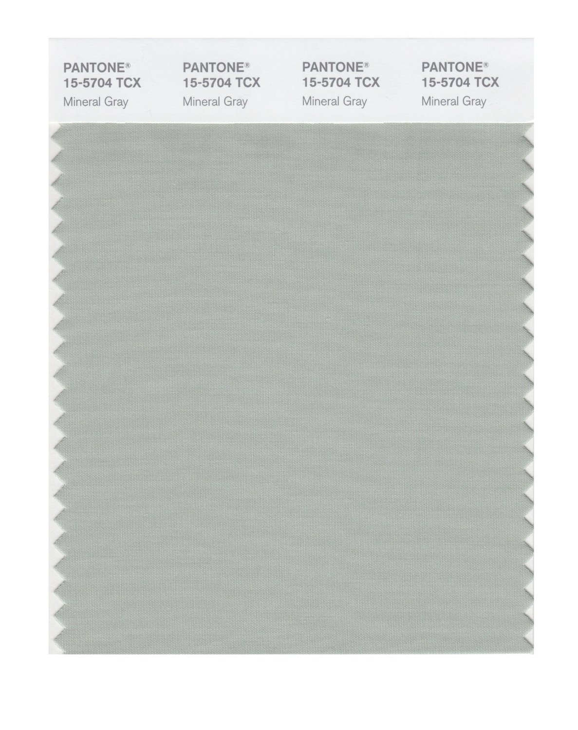 Pantone Cotton Swatch 15-5704 Mineral Gray