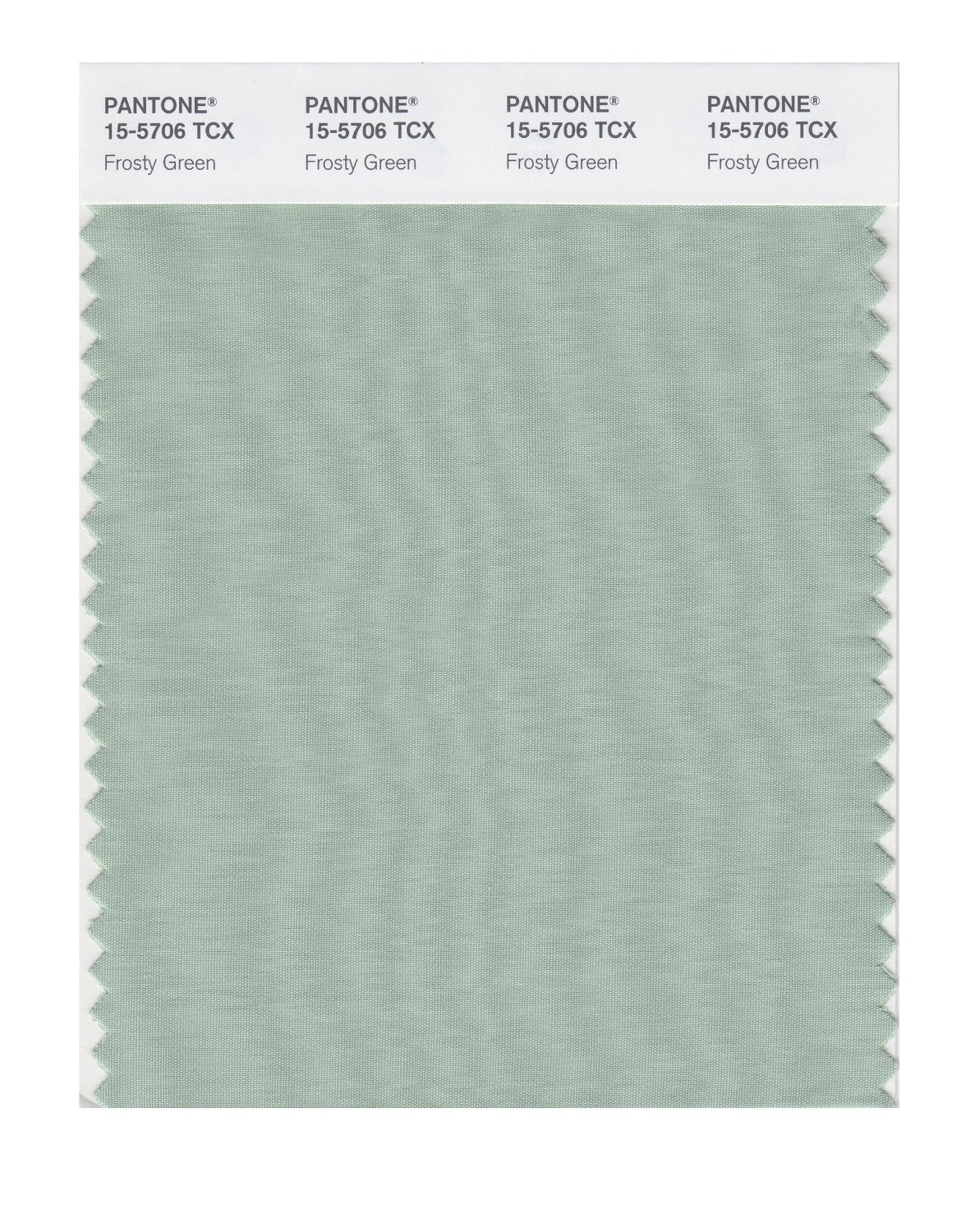 Pantone Cotton Swatch 15-5706 Frosty Green