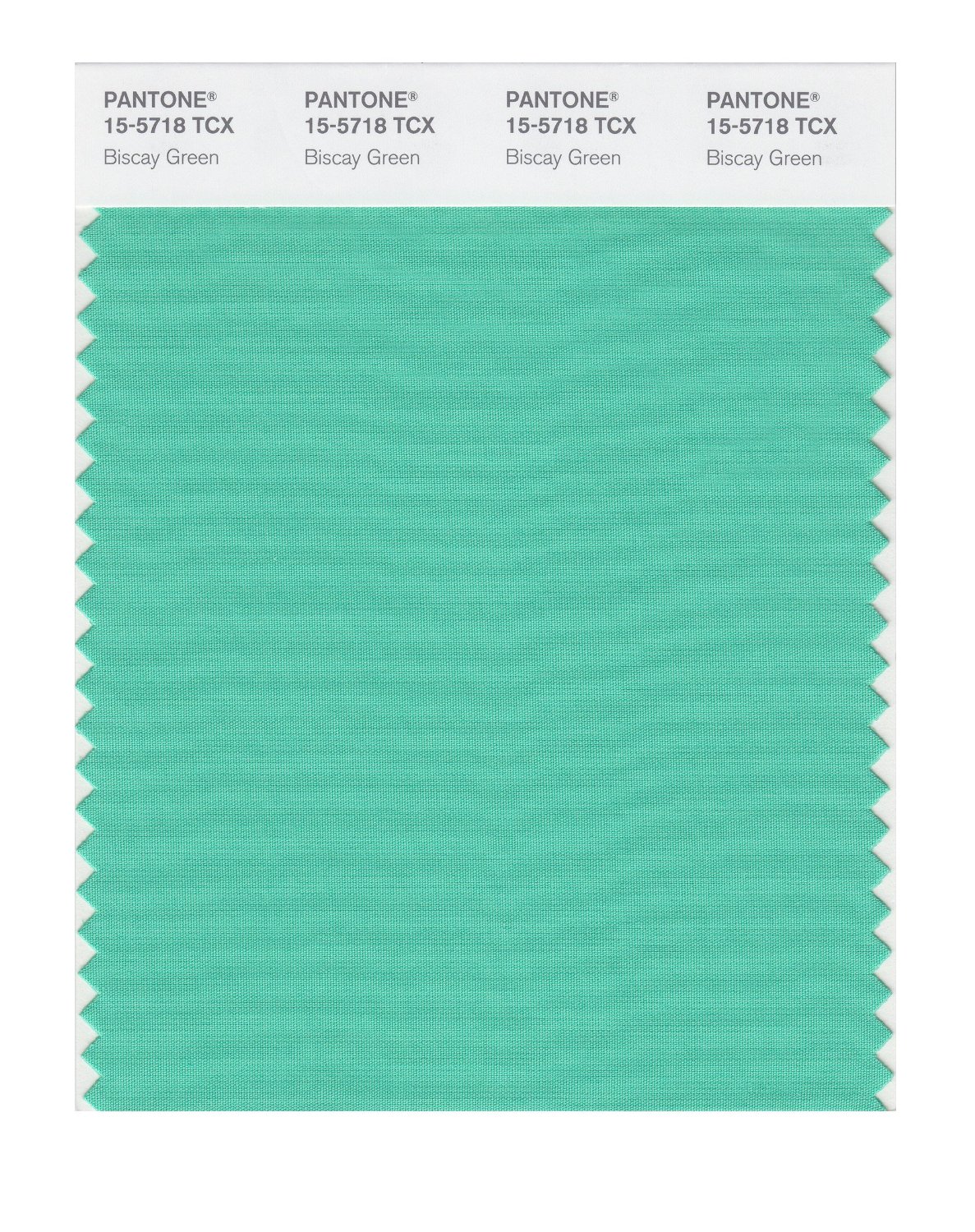Pantone Cotton Swatch 15-5718 Biscay Green