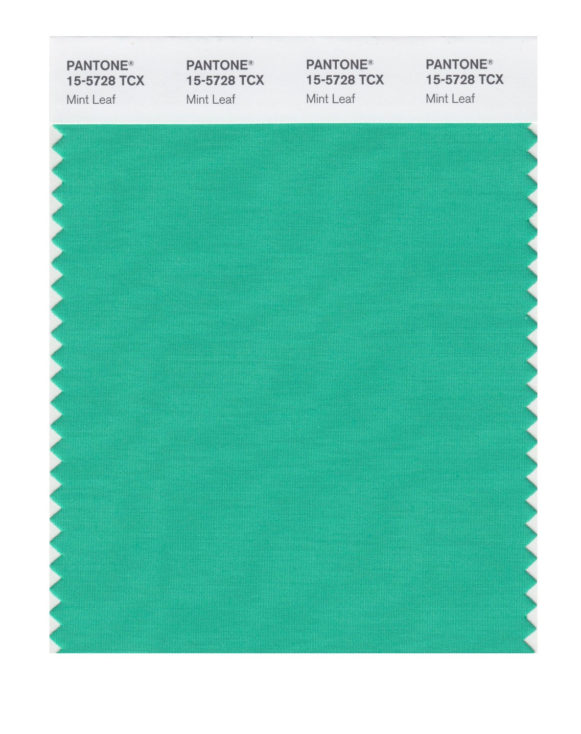 Pantone Cotton Swatch 15-5728 Mint Leaf