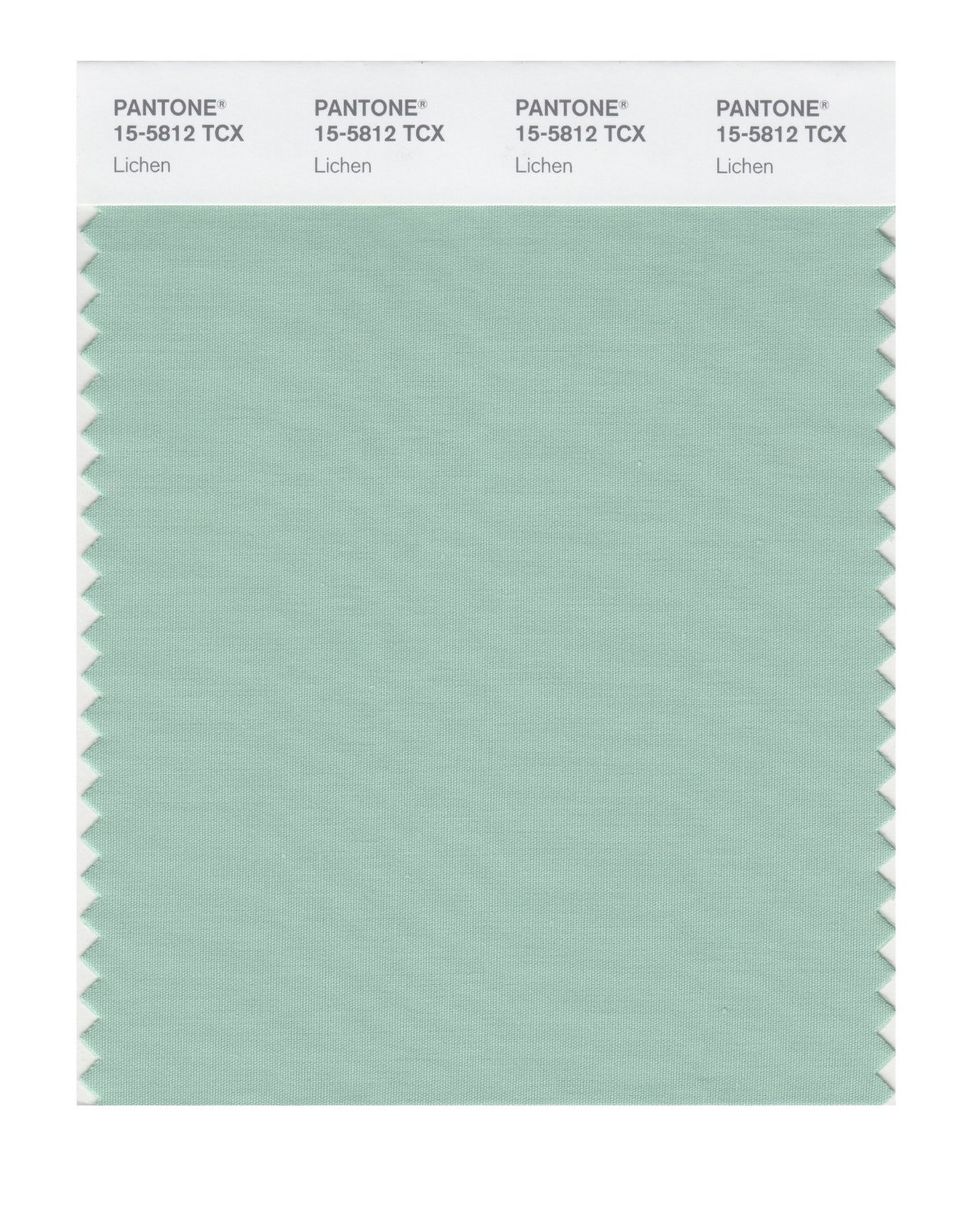 Pantone Cotton Swatch 15-5812 Lichen