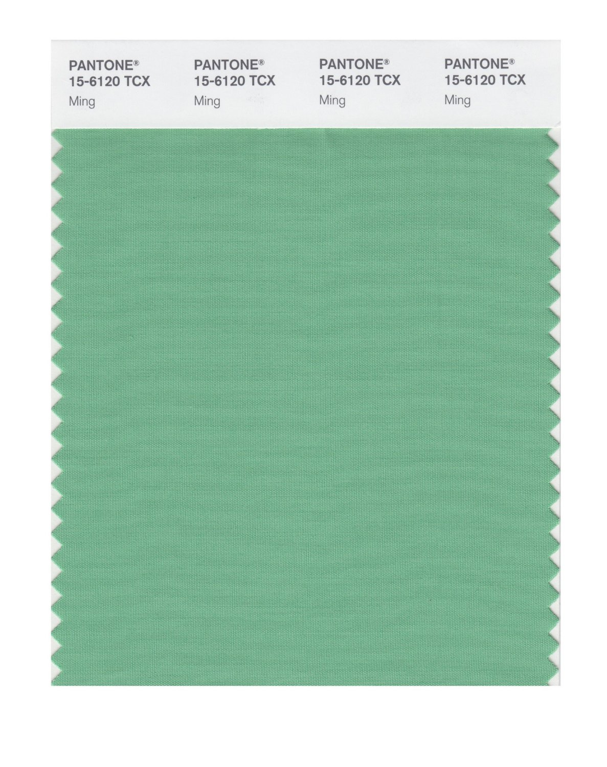 Pantone Cotton Swatch 15-6120 Ming