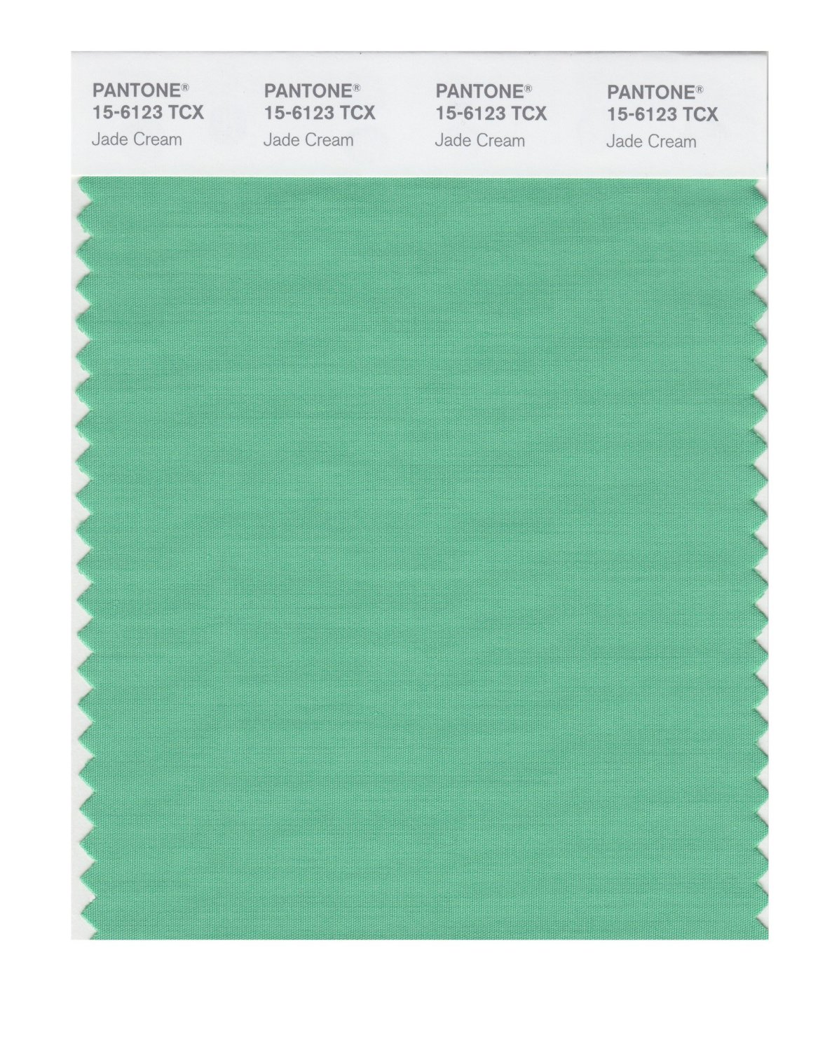 Pantone Cotton Swatch 15-6123 Jade Cream