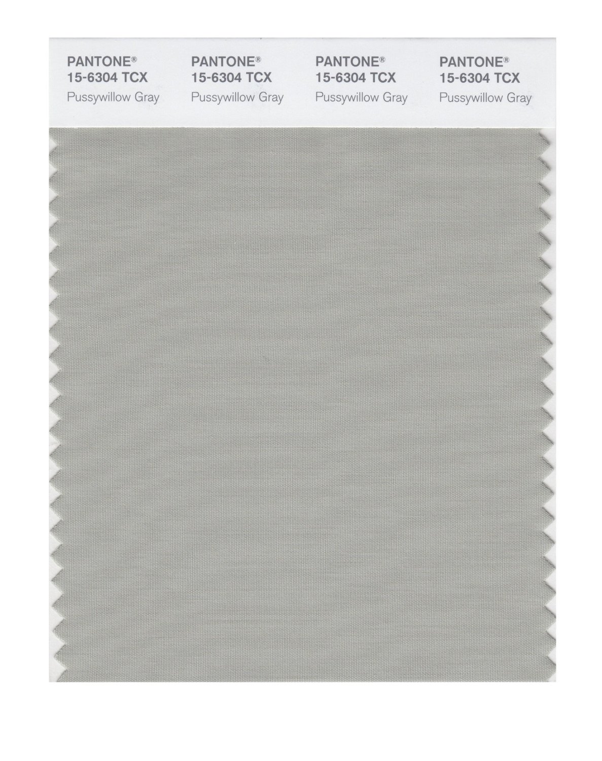 Pantone Cotton Swatch 15-6304 Pussywillow Gra