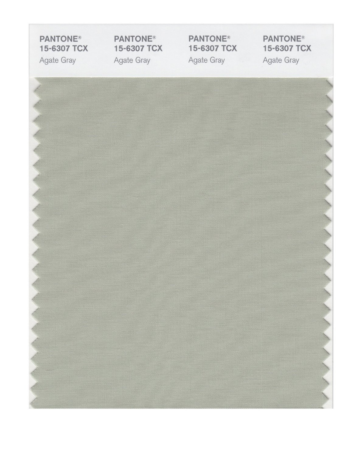 Pantone Cotton Swatch 15-6307 Agate Gray