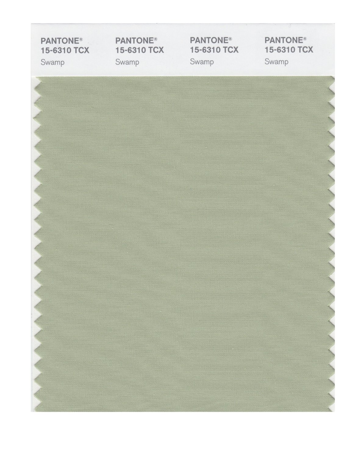 Pantone Cotton Swatch 15-6310 Swamp