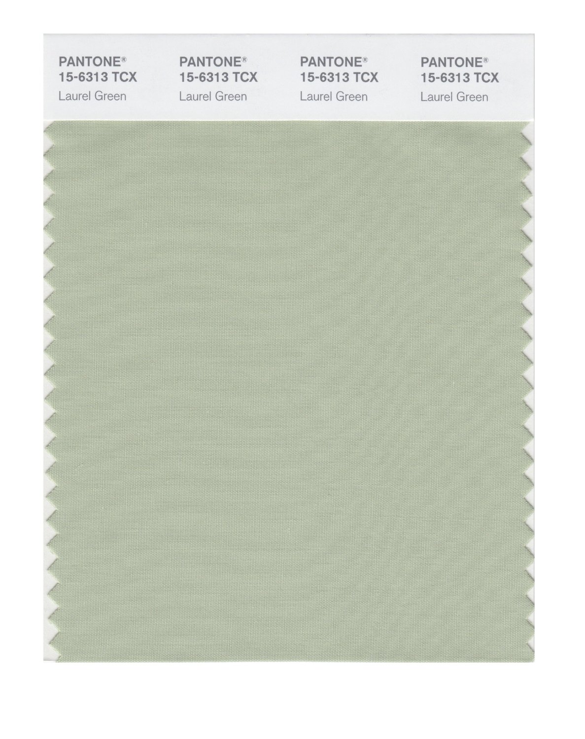 Pantone Cotton Swatch 15-6313 Laurel Green