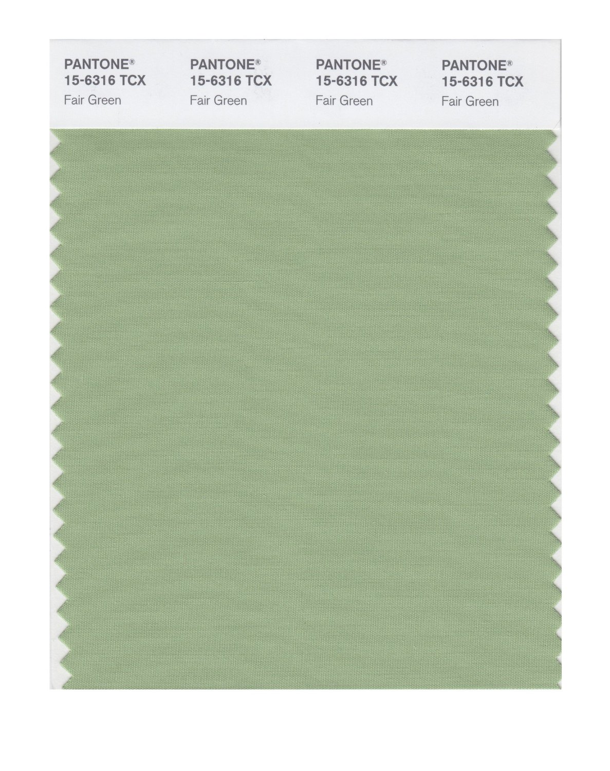 Pantone Cotton Swatch 15-6316 Fair Green