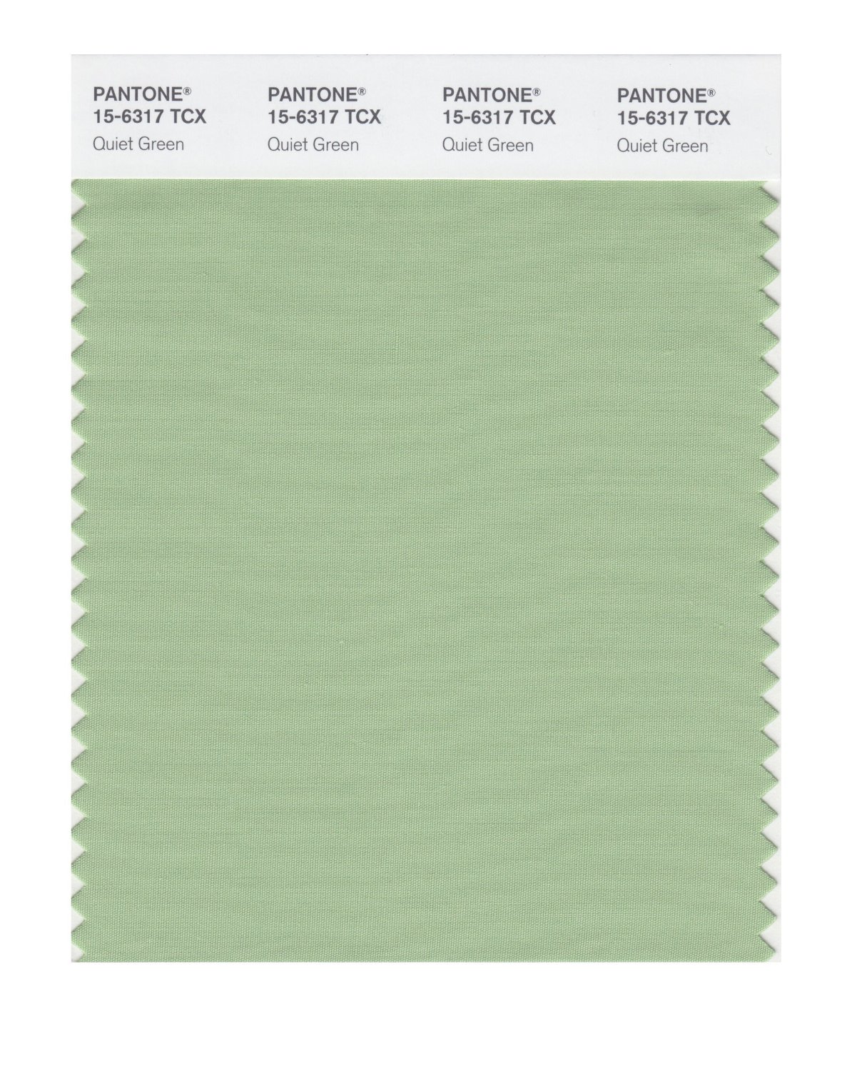 Pantone Cotton Swatch 15-6317 Quiet Green