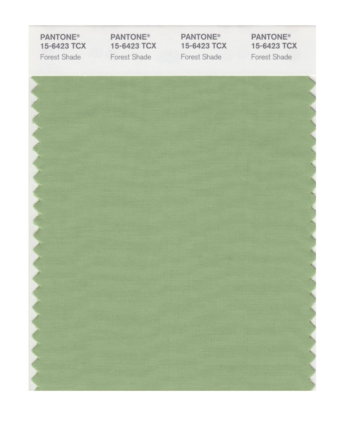 Pantone Cotton Swatch 15-6423 Forest Shade