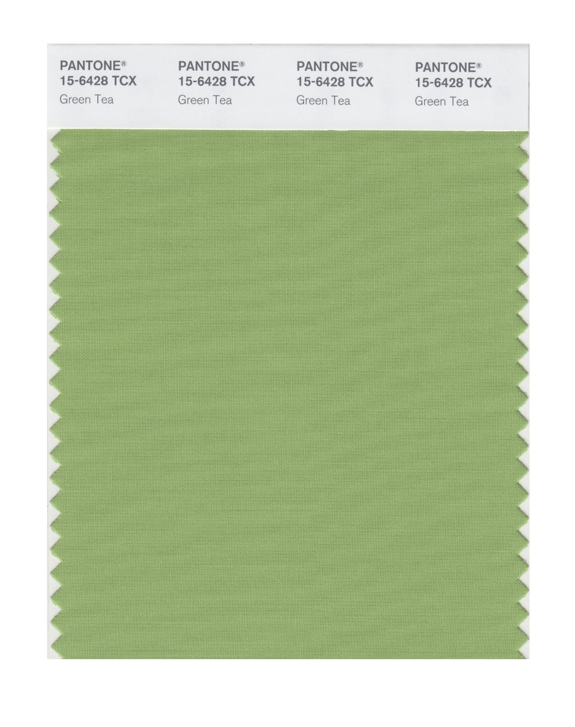 Pantone Cotton Swatch 15-6428 Green Tea
