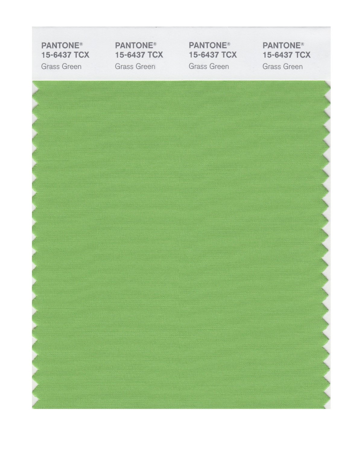 Pantone Cotton Swatch 15-6437 Grass Green