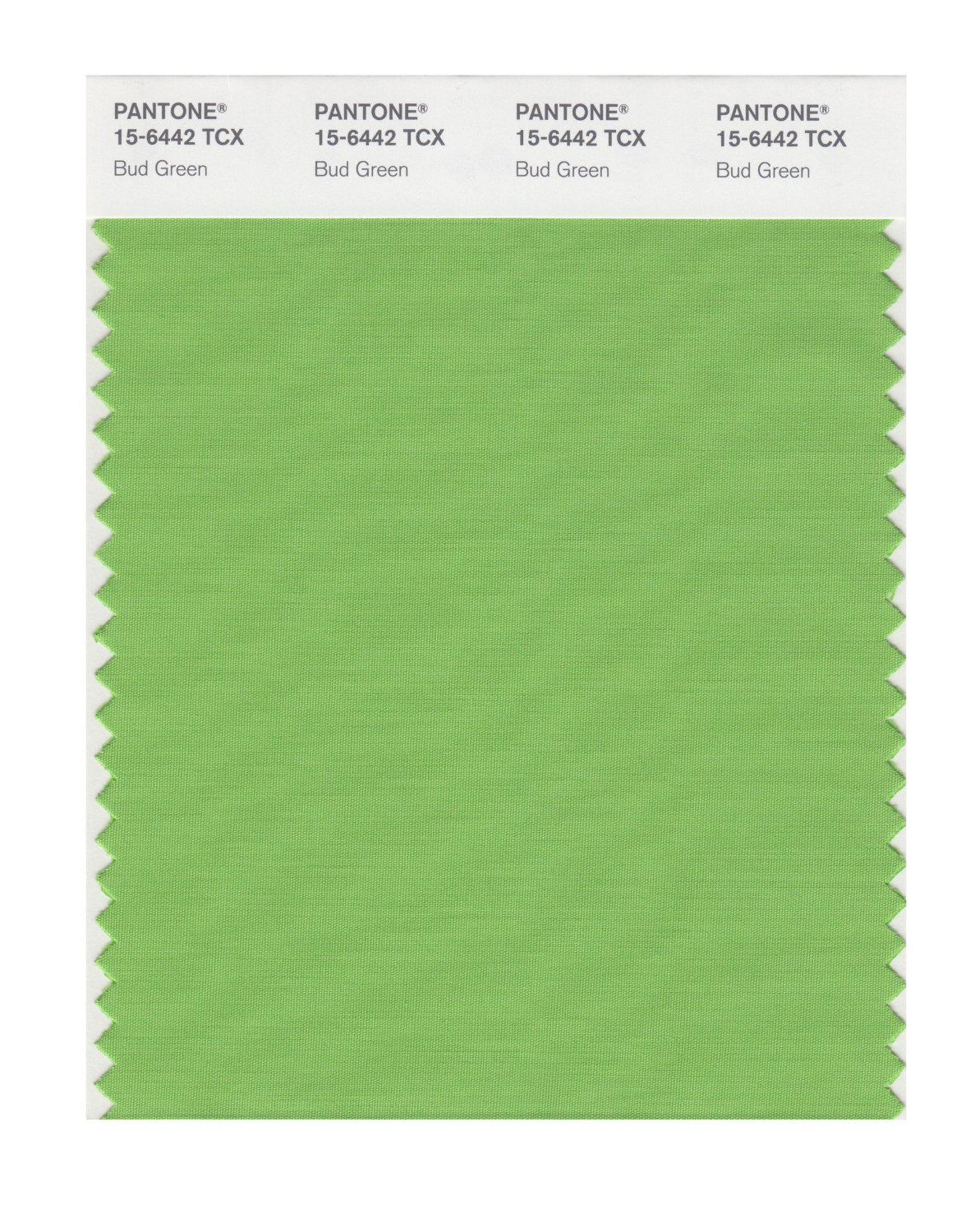 Pantone Cotton Swatch 15-6442 Bud Green