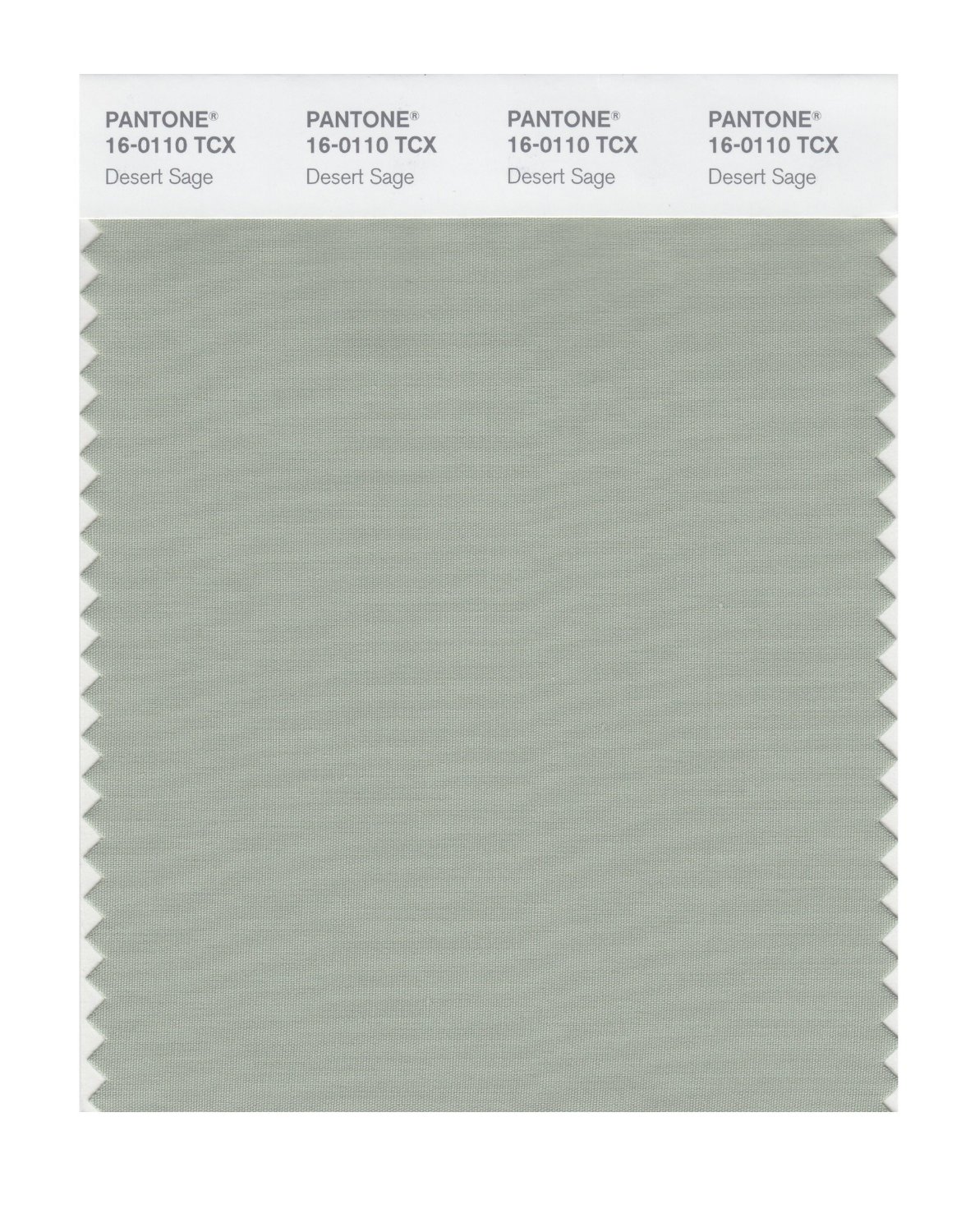 Pantone Cotton Swatch 16-0110 Desert Sage