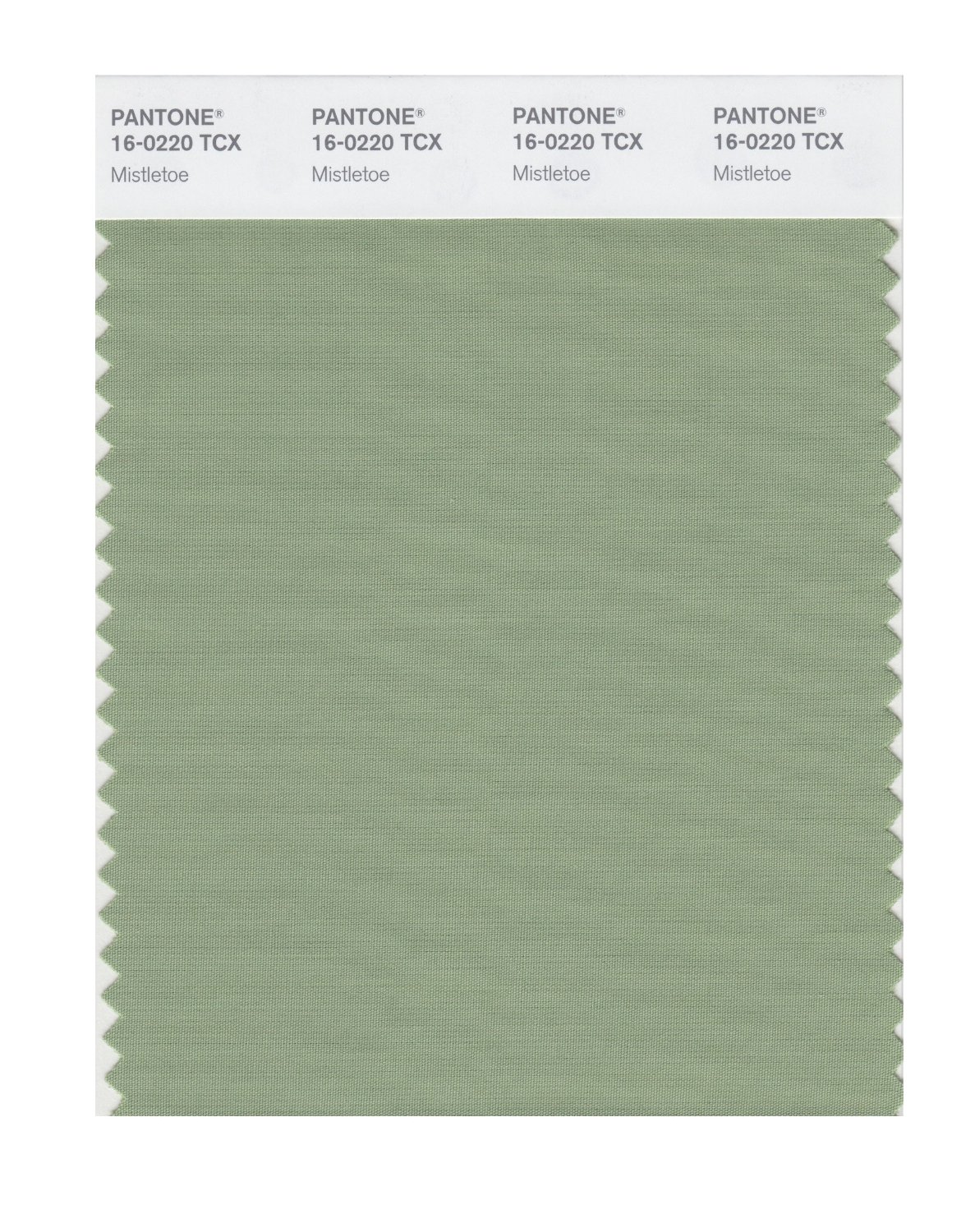 Pantone Cotton Swatch 16-0220 Mistletoe