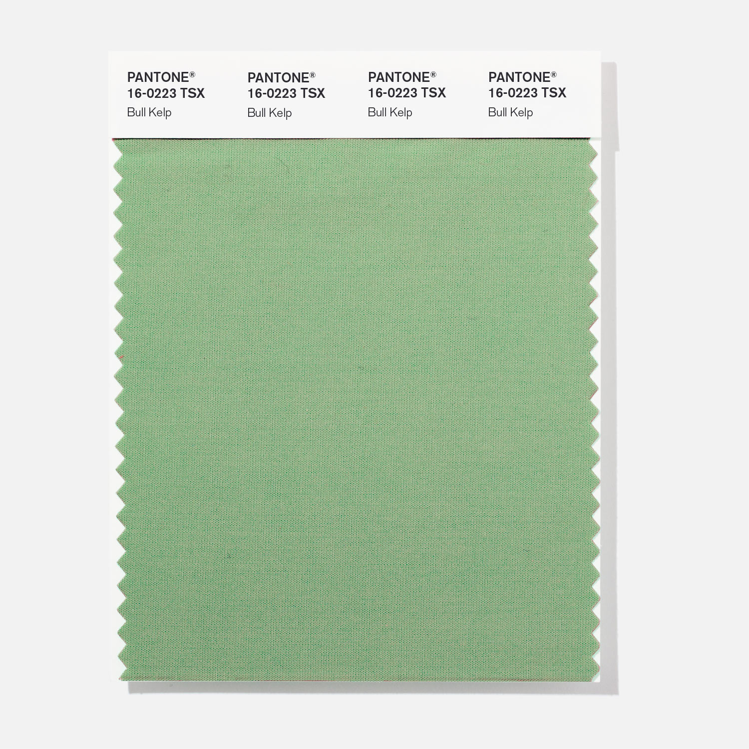 Pantone Polyester Swatch 16-0223 Bull Kelp