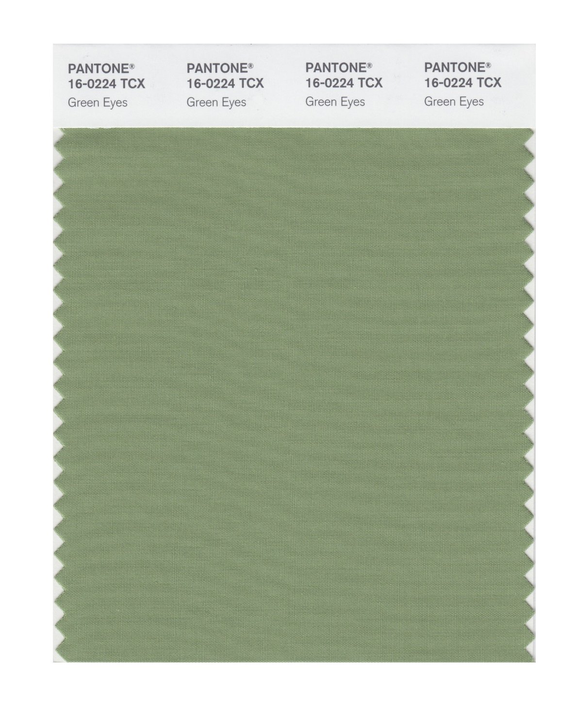 Pantone Cotton Swatch 16-0224 Green Eyes