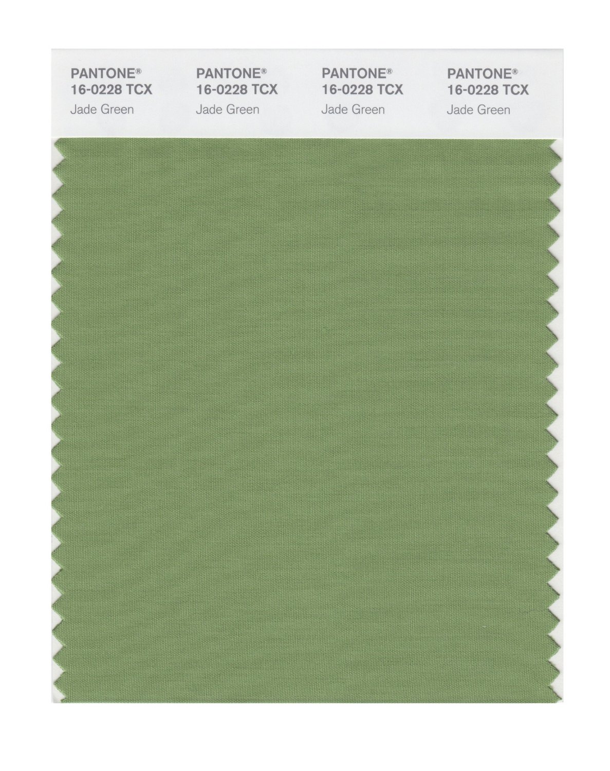 Pantone Cotton Swatch 16-0228 Jade Green
