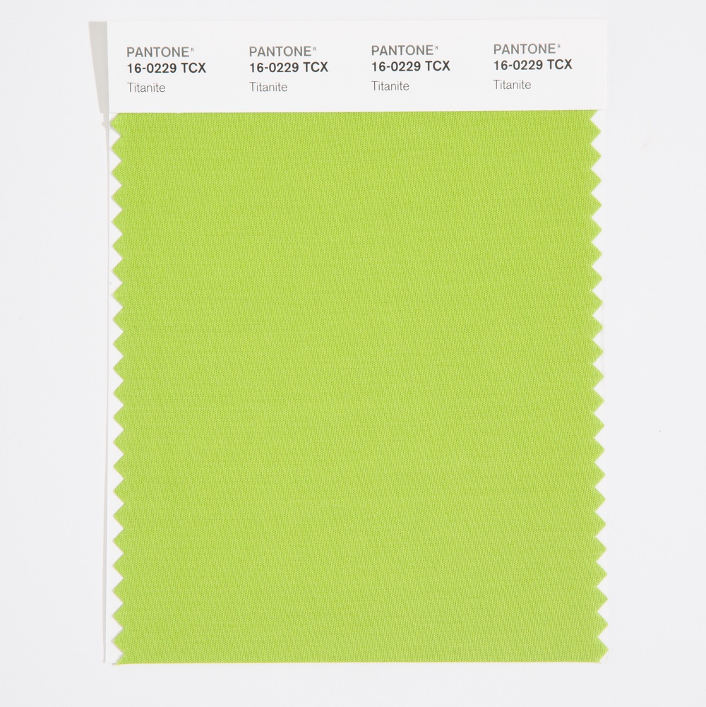 Pantone Cotton Swatch 16-0229 Titanite