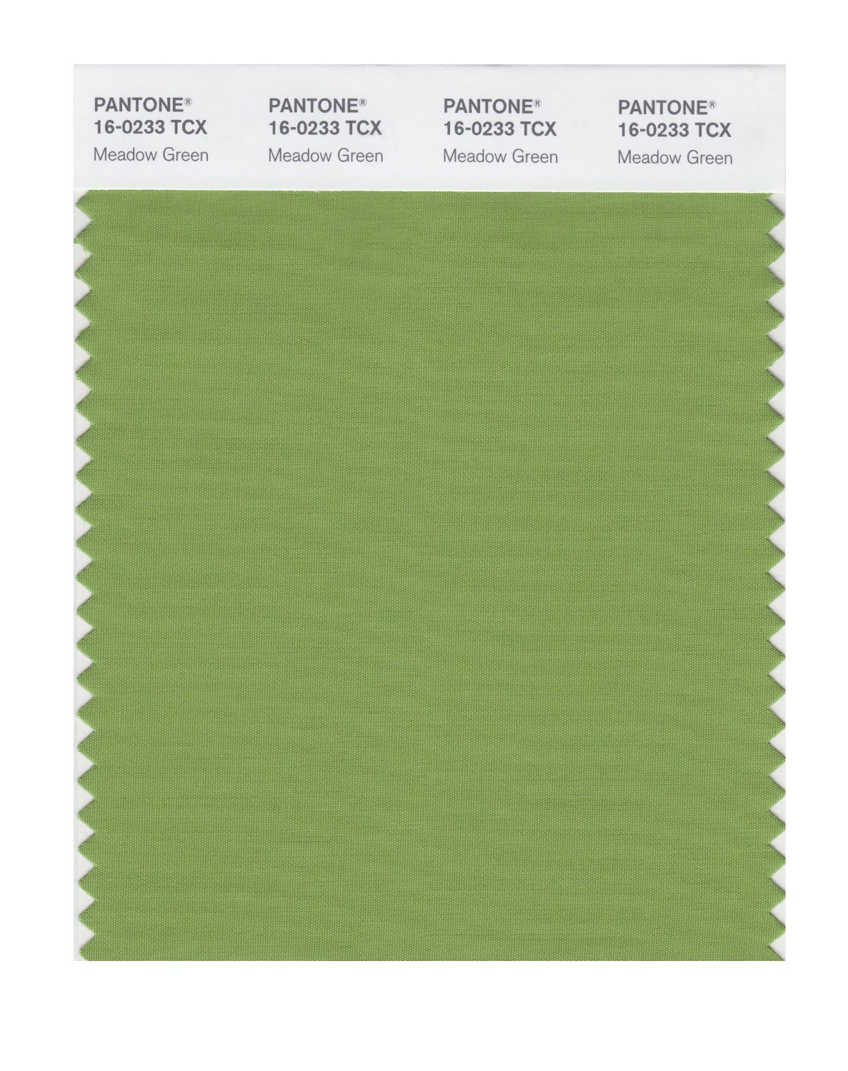 Pantone Cotton Swatch 16-0233 Meadow Green