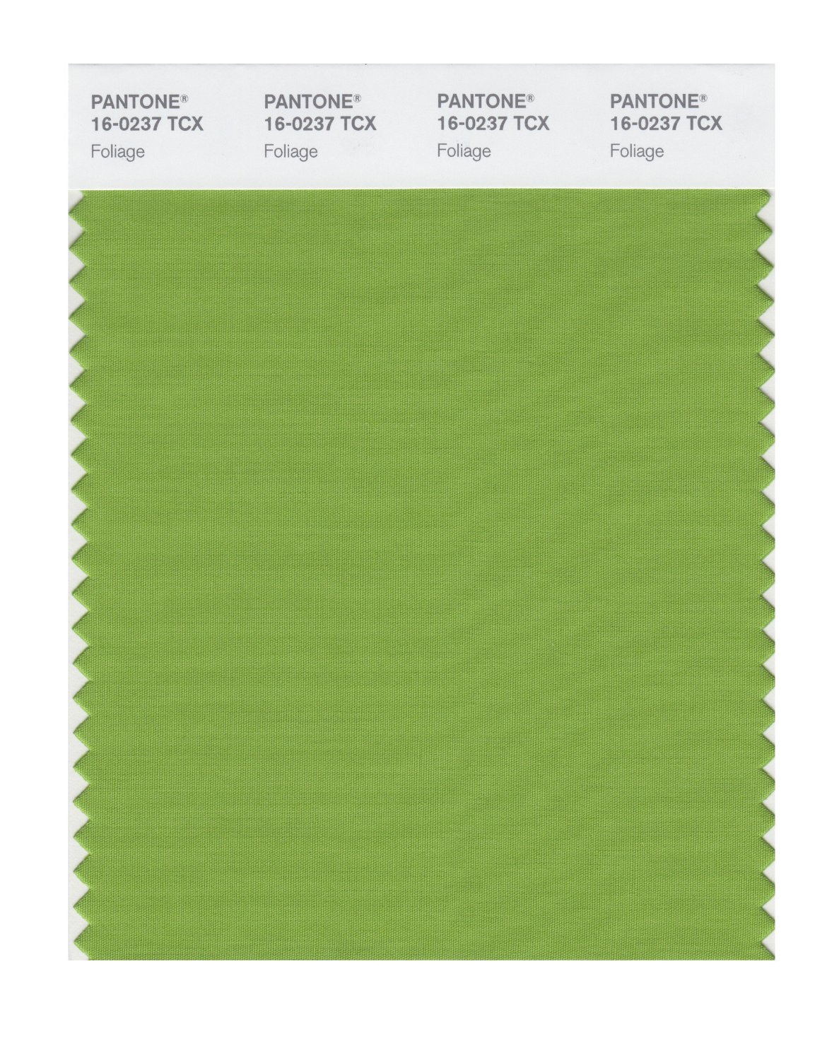 Pantone Cotton Swatch 16-0237 Foliage