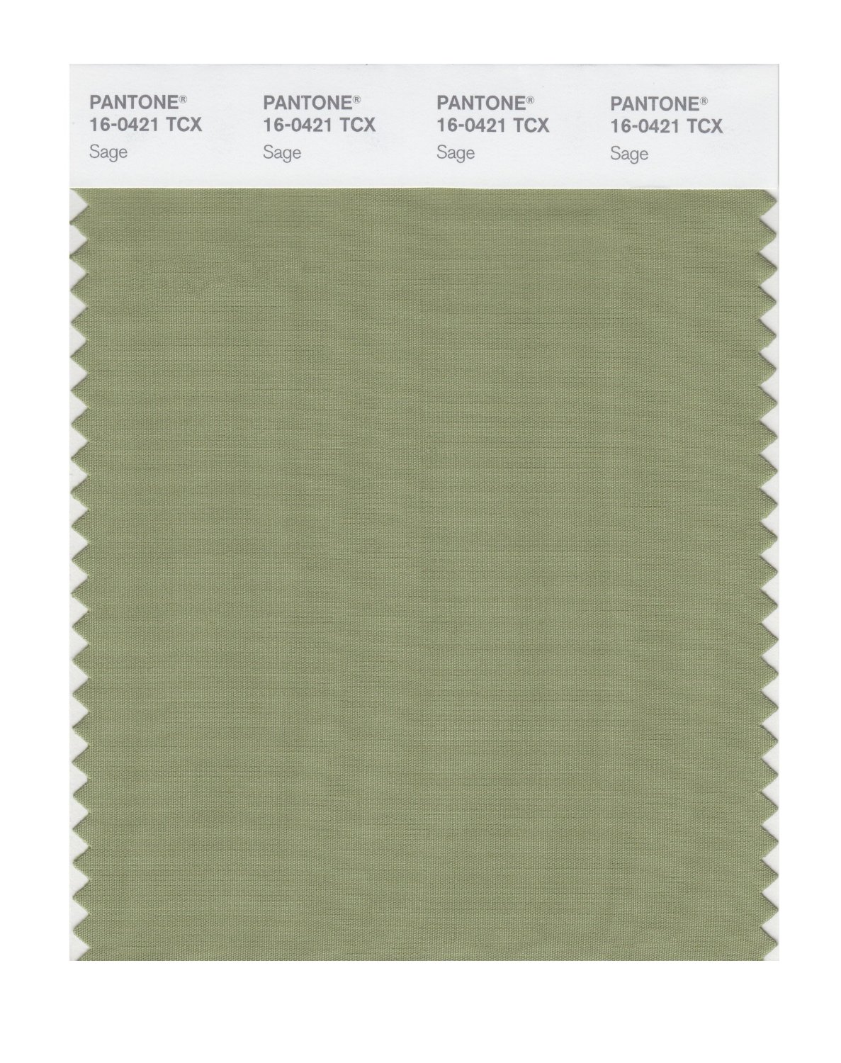 Pantone Cotton Swatch 16-0421 Sage