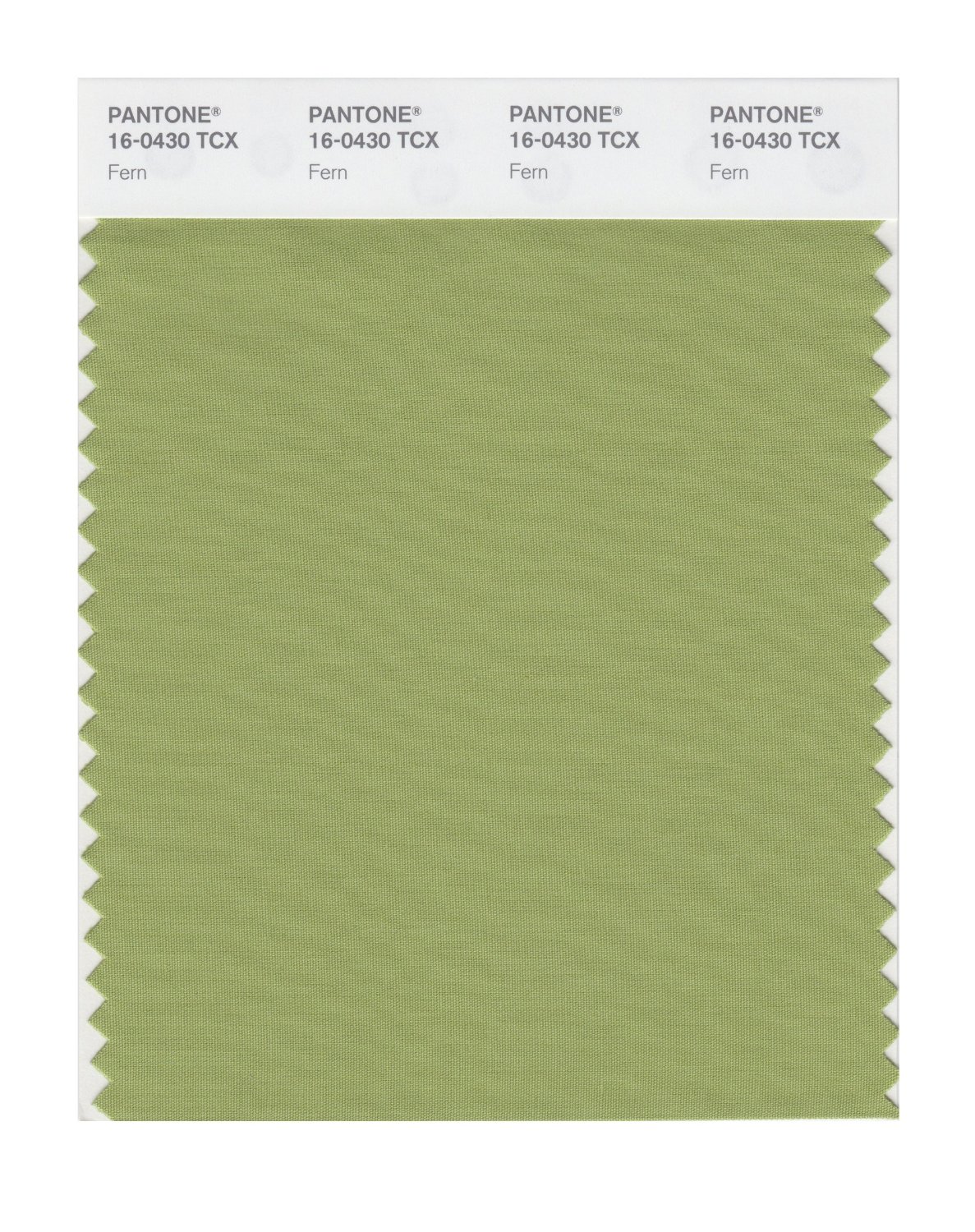 Pantone Cotton Swatch 16-0430 Fern