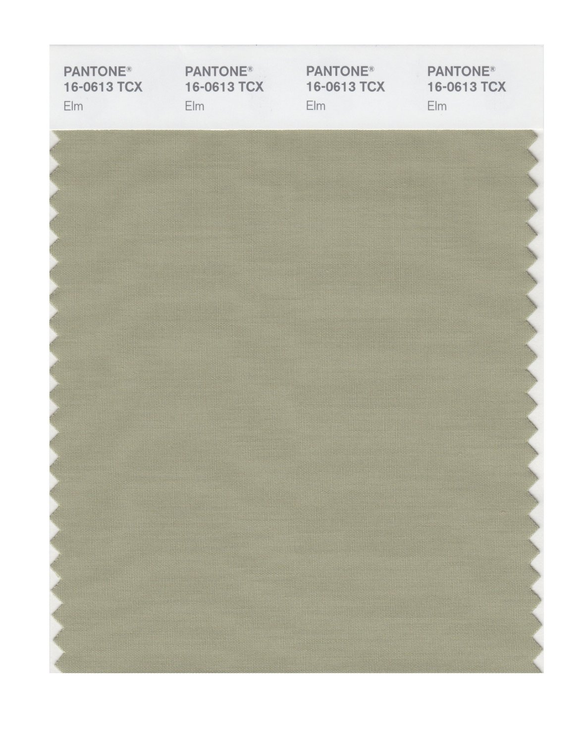 Pantone Cotton Swatch 16-0613 Elm