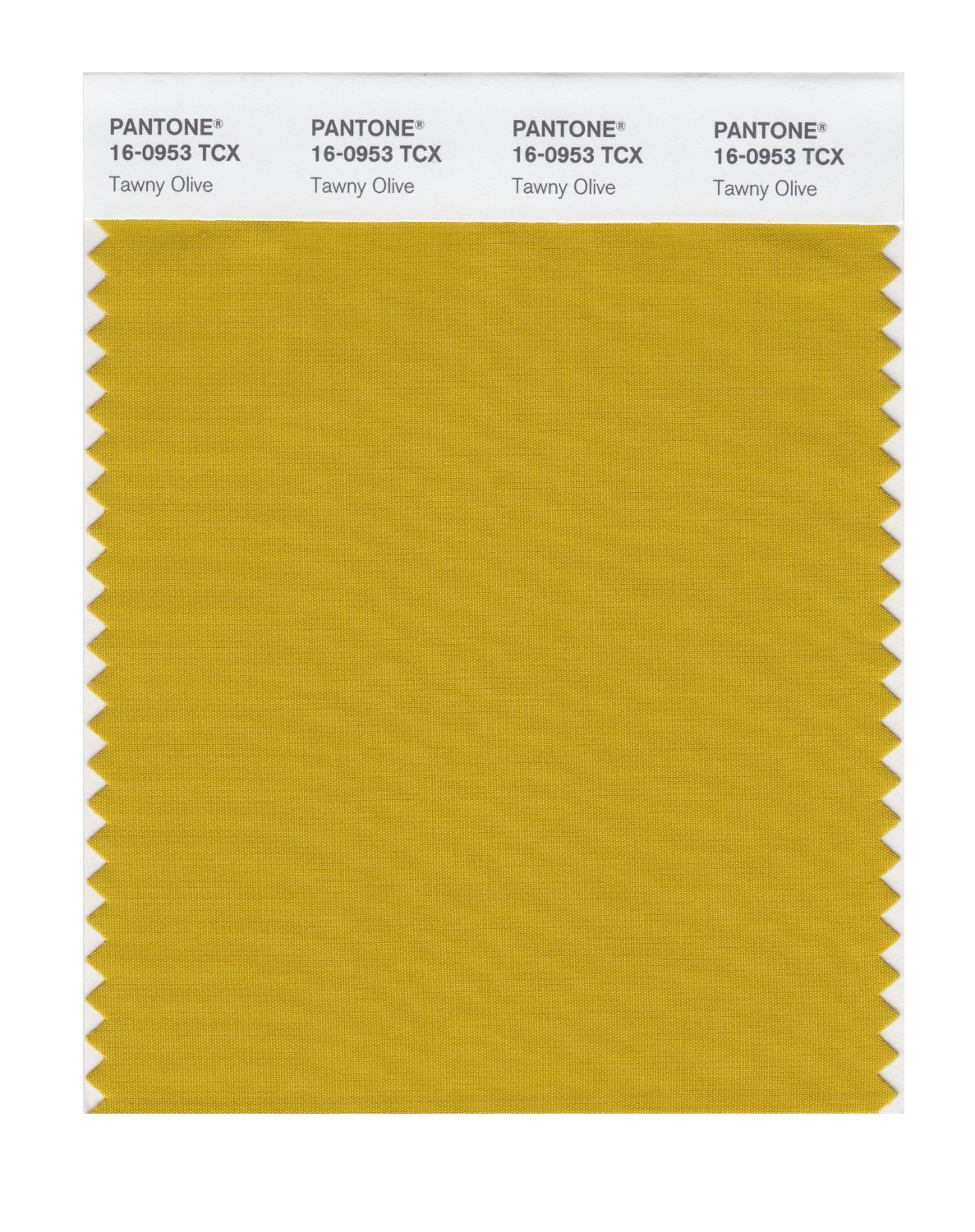 Pantone Cotton Swatch 16-0953 Tawny Olive