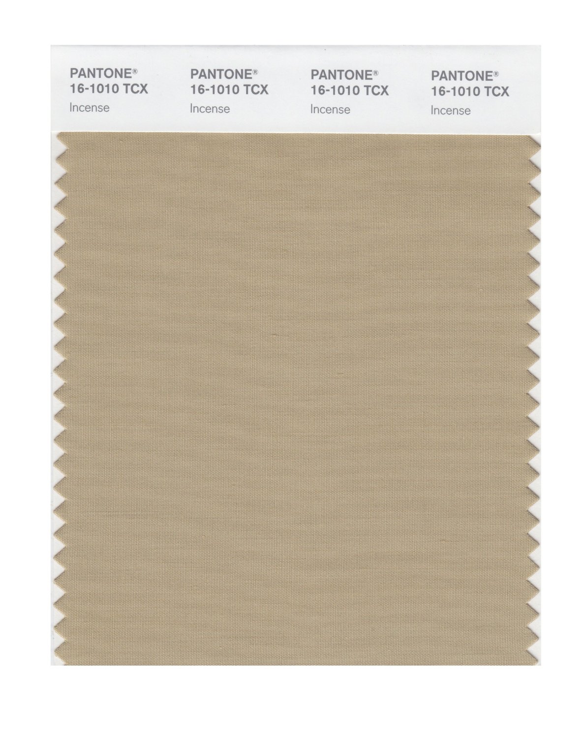 Pantone Cotton Swatch 16-1010 Incense