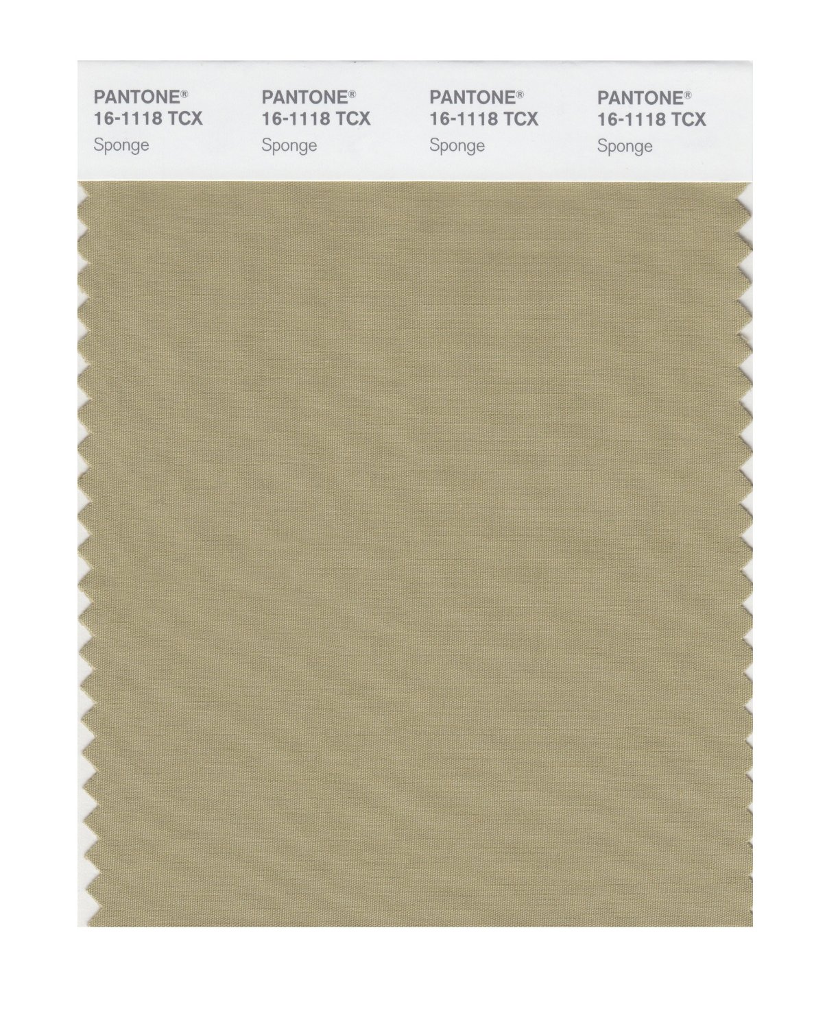 Pantone Cotton Swatch 16-1118 Sponge