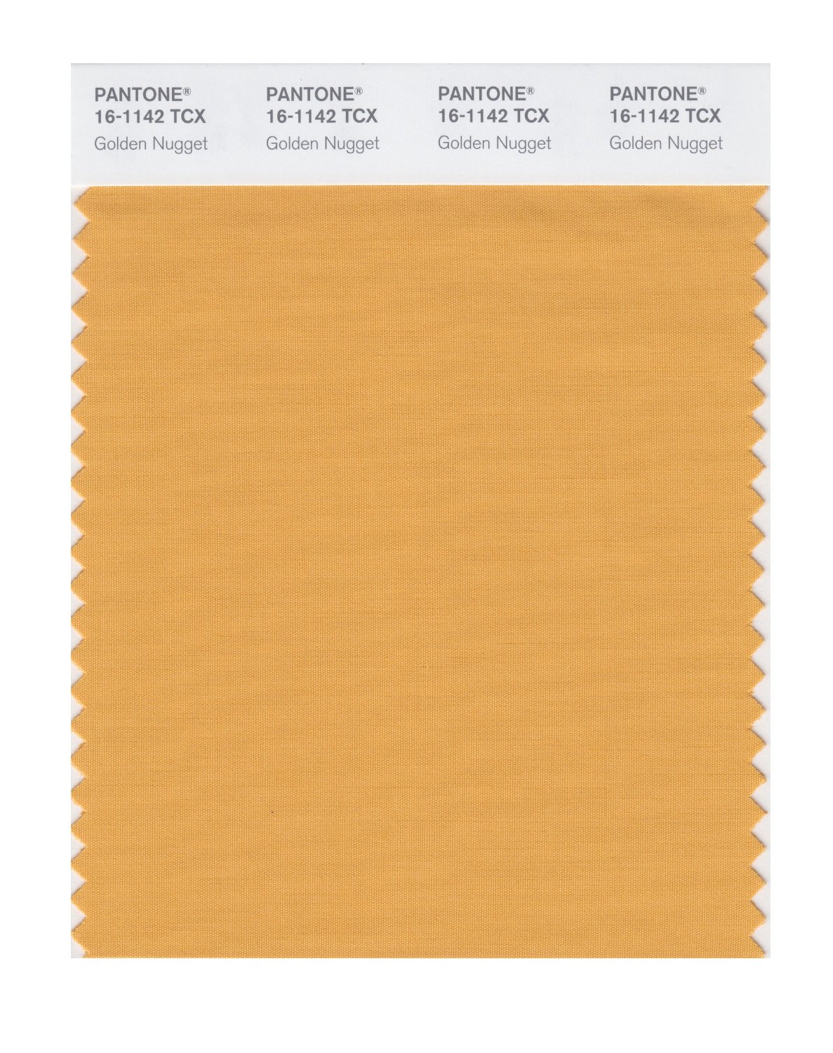 Pantone Cotton Swatch 16-1142 Golden Nugget