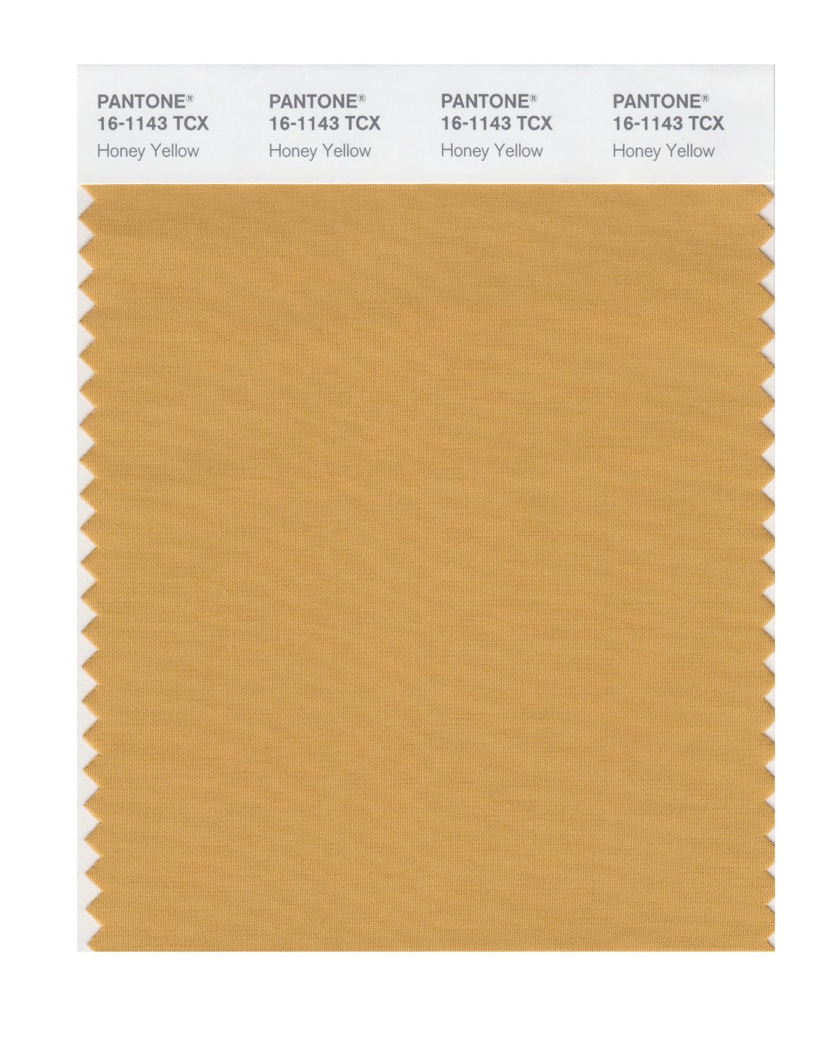 Pantone Cotton Swatch 16-1143 Honey Yellow