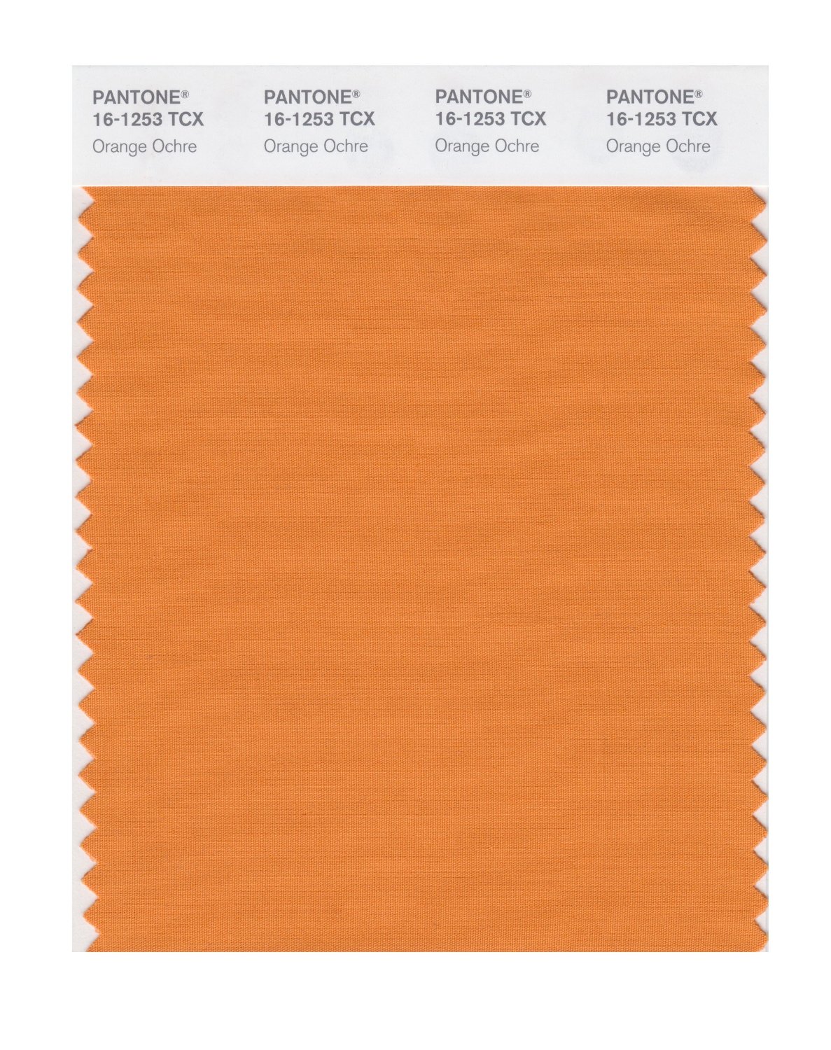 Pantone Cotton Swatch 16-1253 Orange Ochre