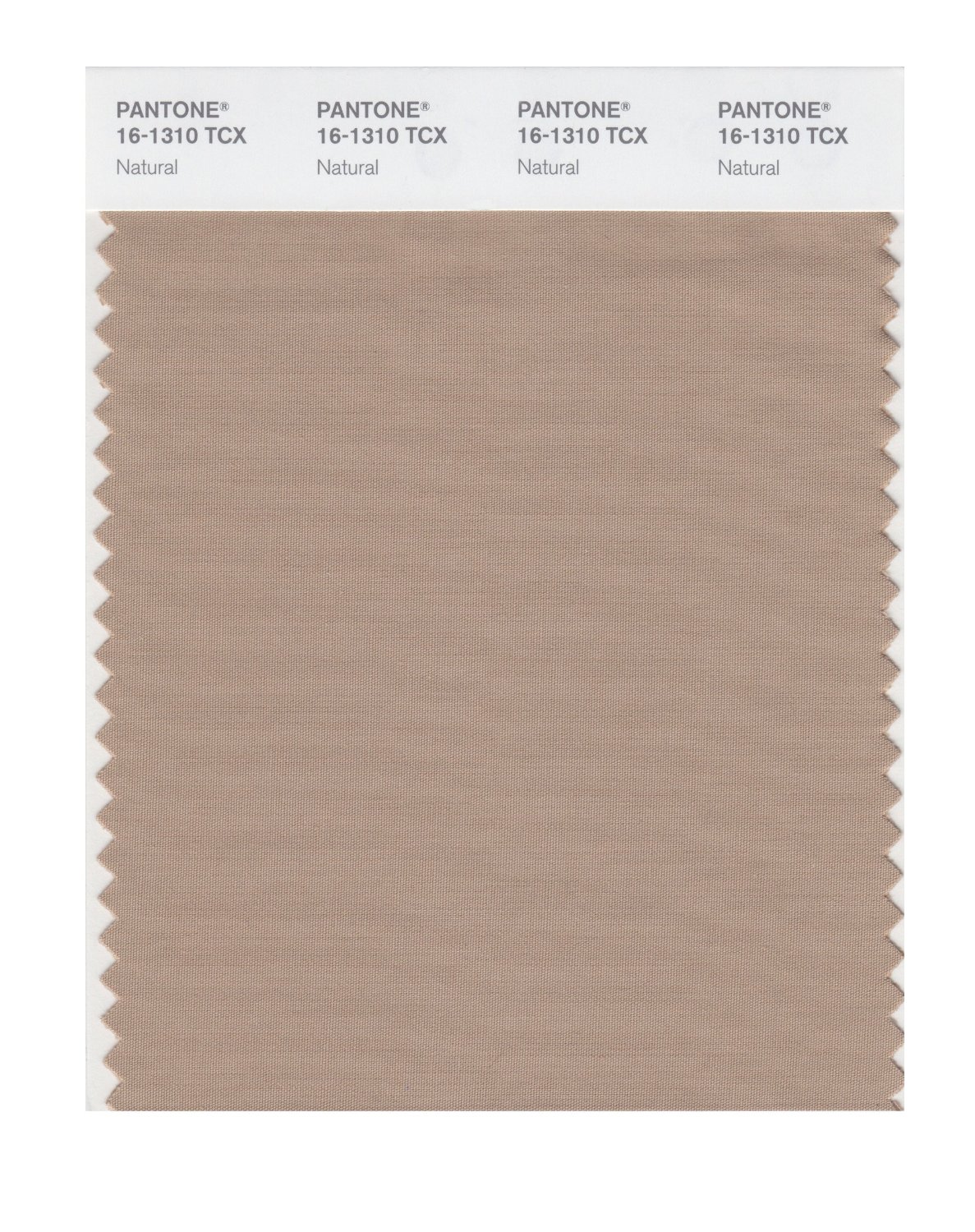 Pantone Cotton Swatch 16-1310 Natural