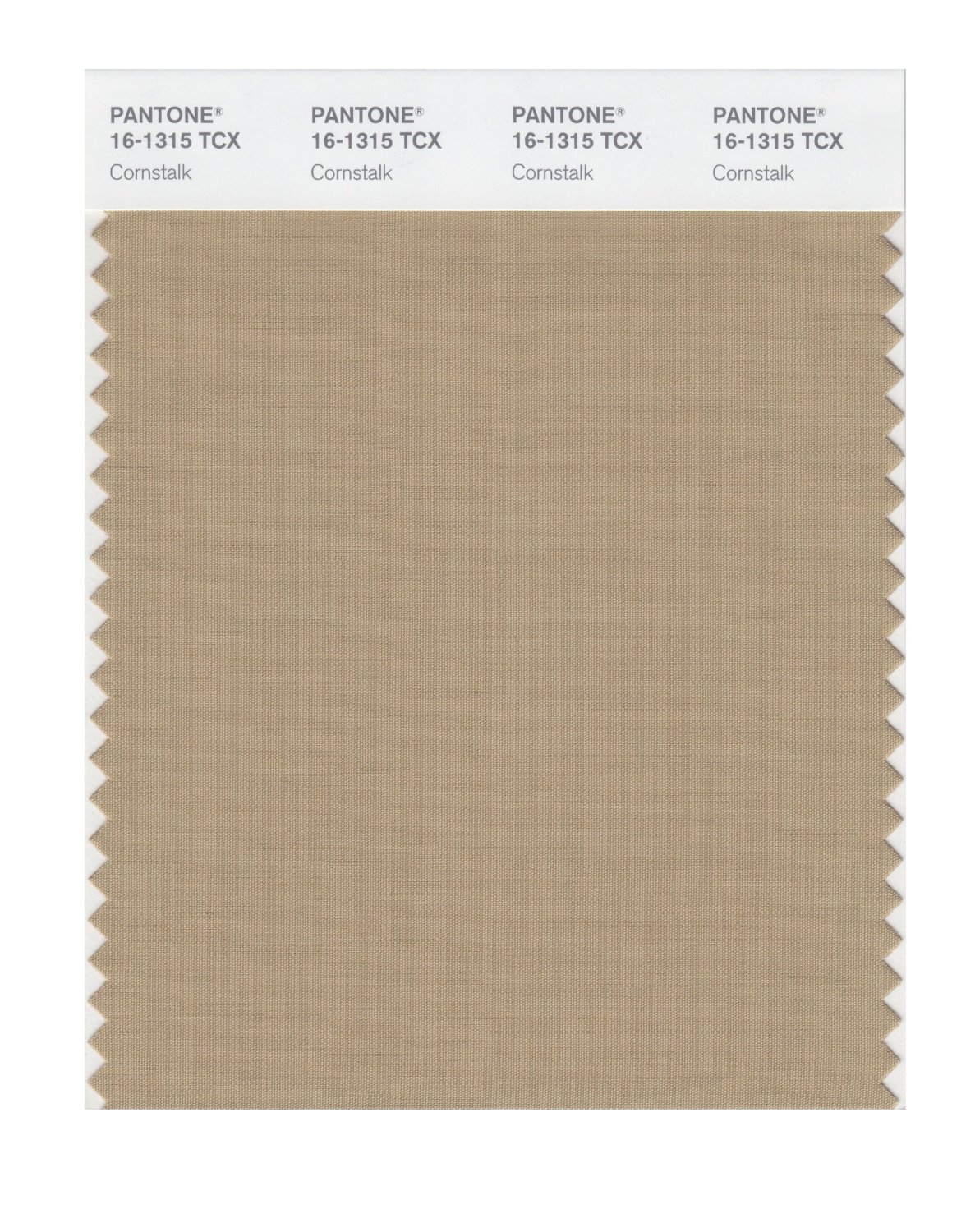 Pantone Cotton Swatch 16-1315 Cornstalk