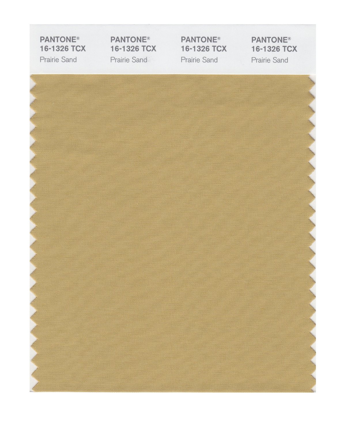 Pantone Cotton Swatch 16-1326 Prairie Sand