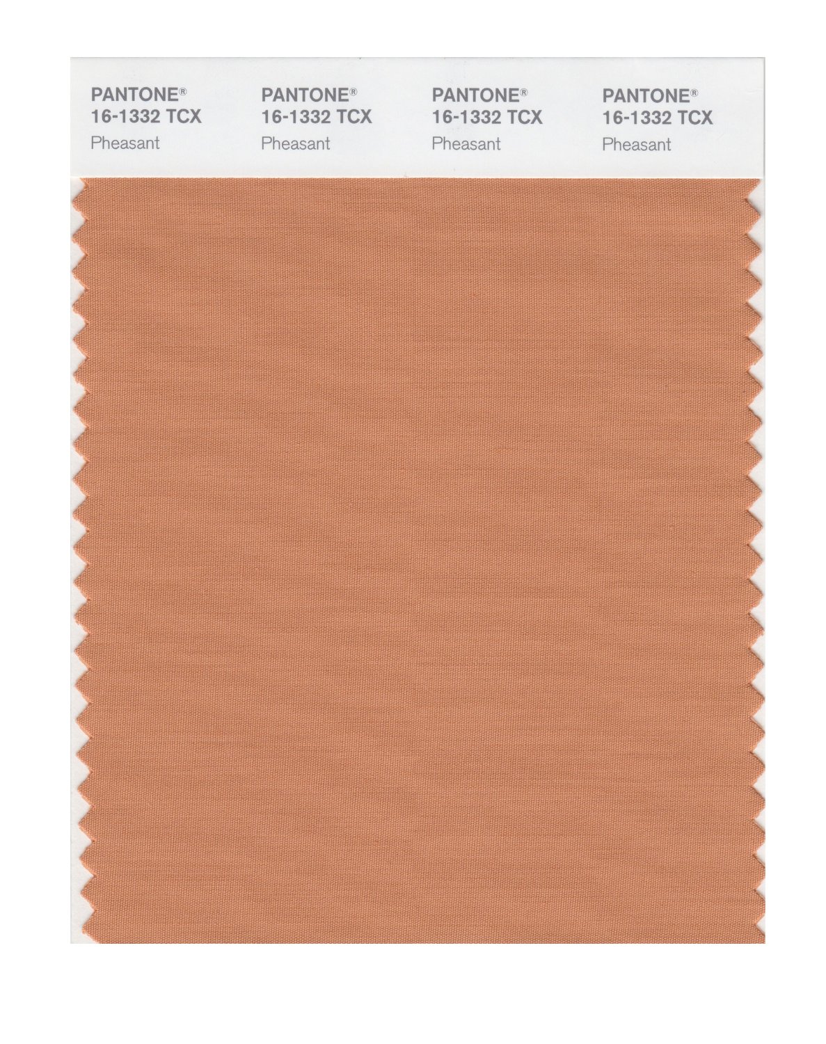 Pantone Cotton Swatch 16-1332 Pheasant