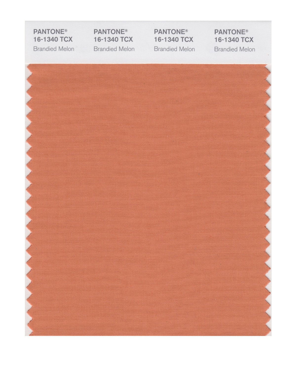 Pantone Cotton Swatch 16-1340 Brandied Melon