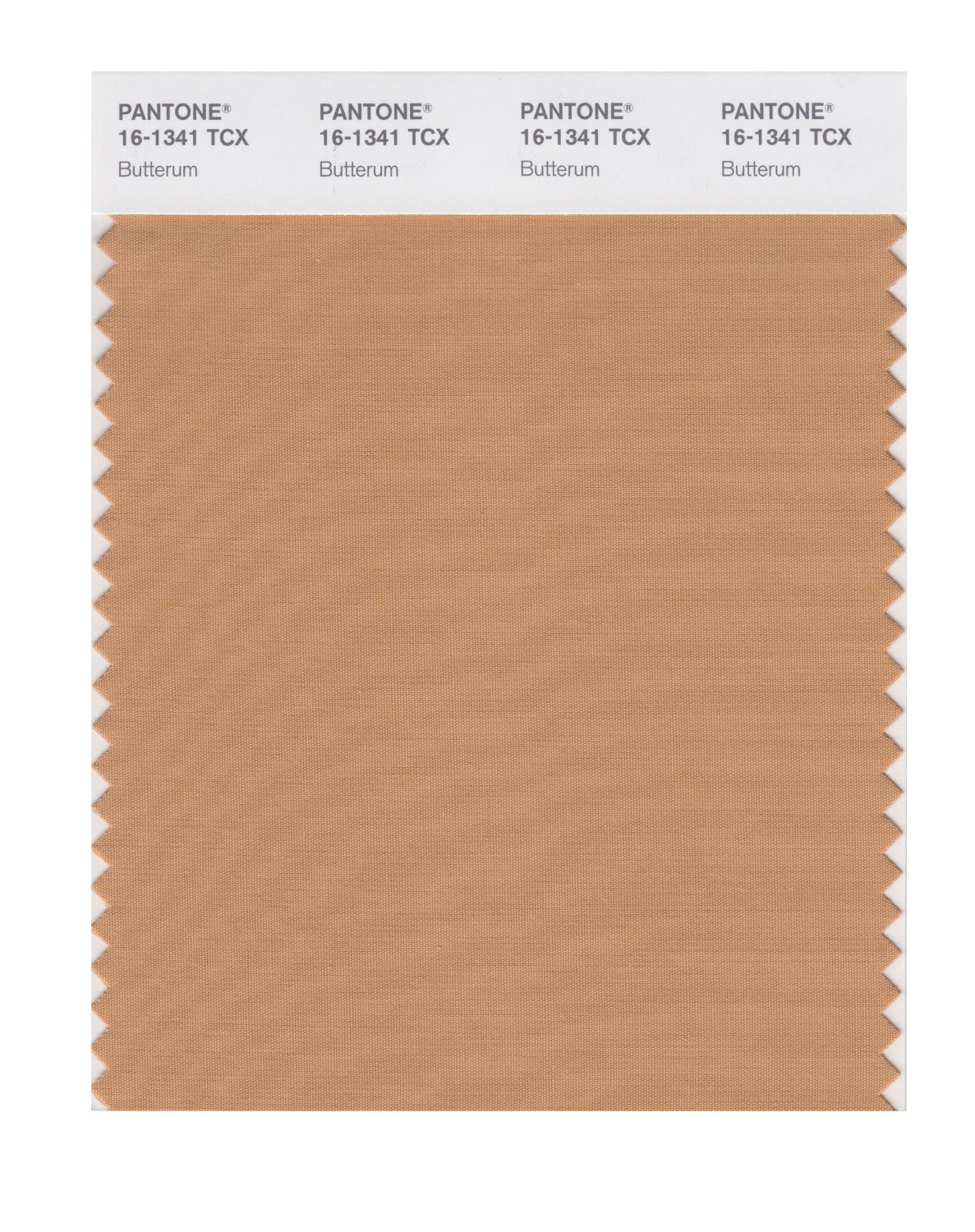 Pantone Cotton Swatch 16-1341 Butterum