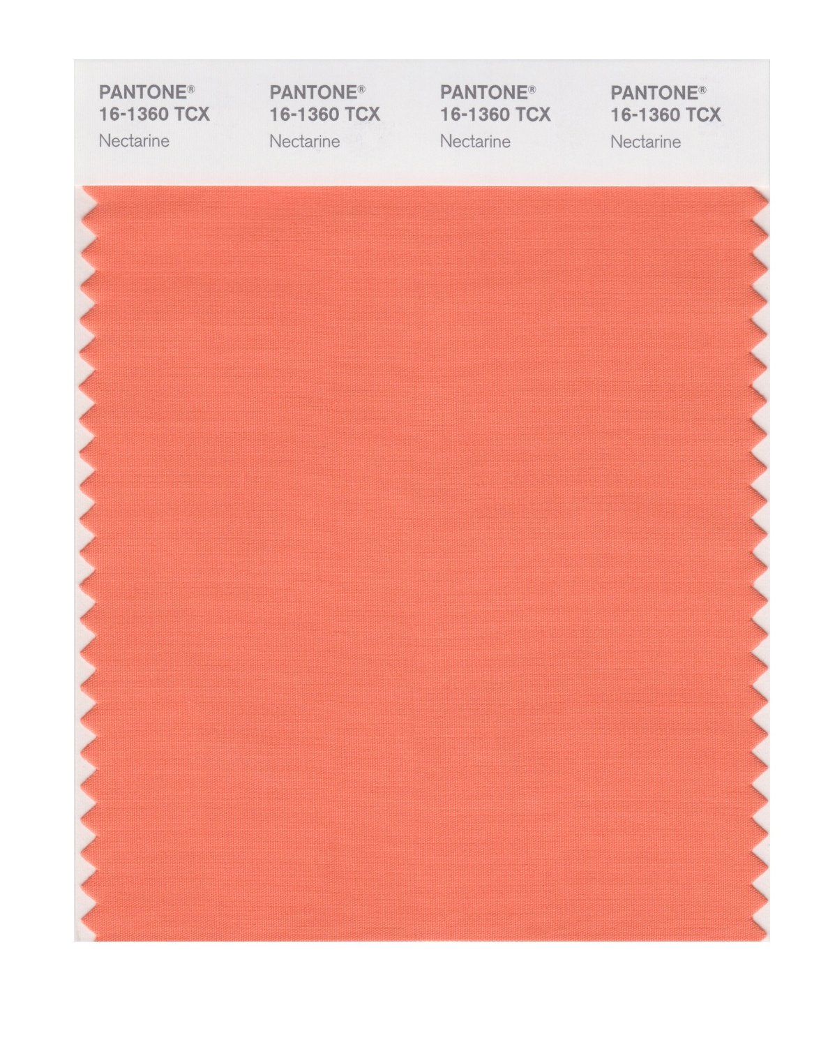 Pantone Cotton Swatch 16-1360 Nectarine