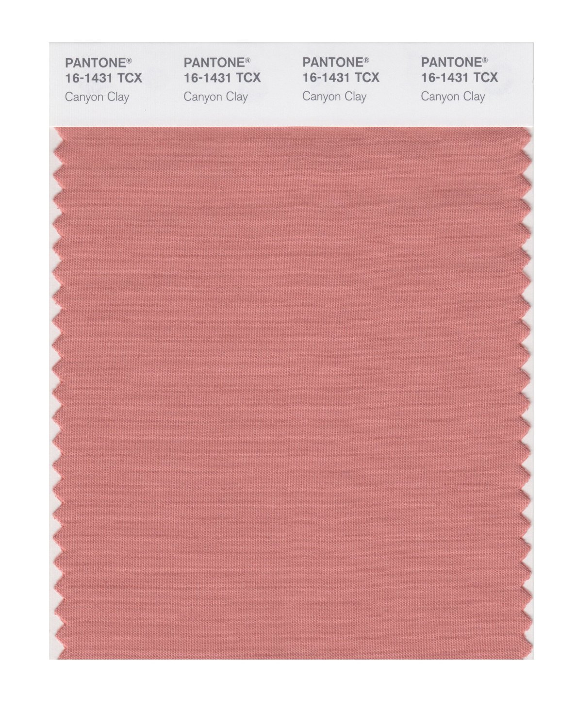 Pantone Cotton Swatch 16-1431 Canyon Clay