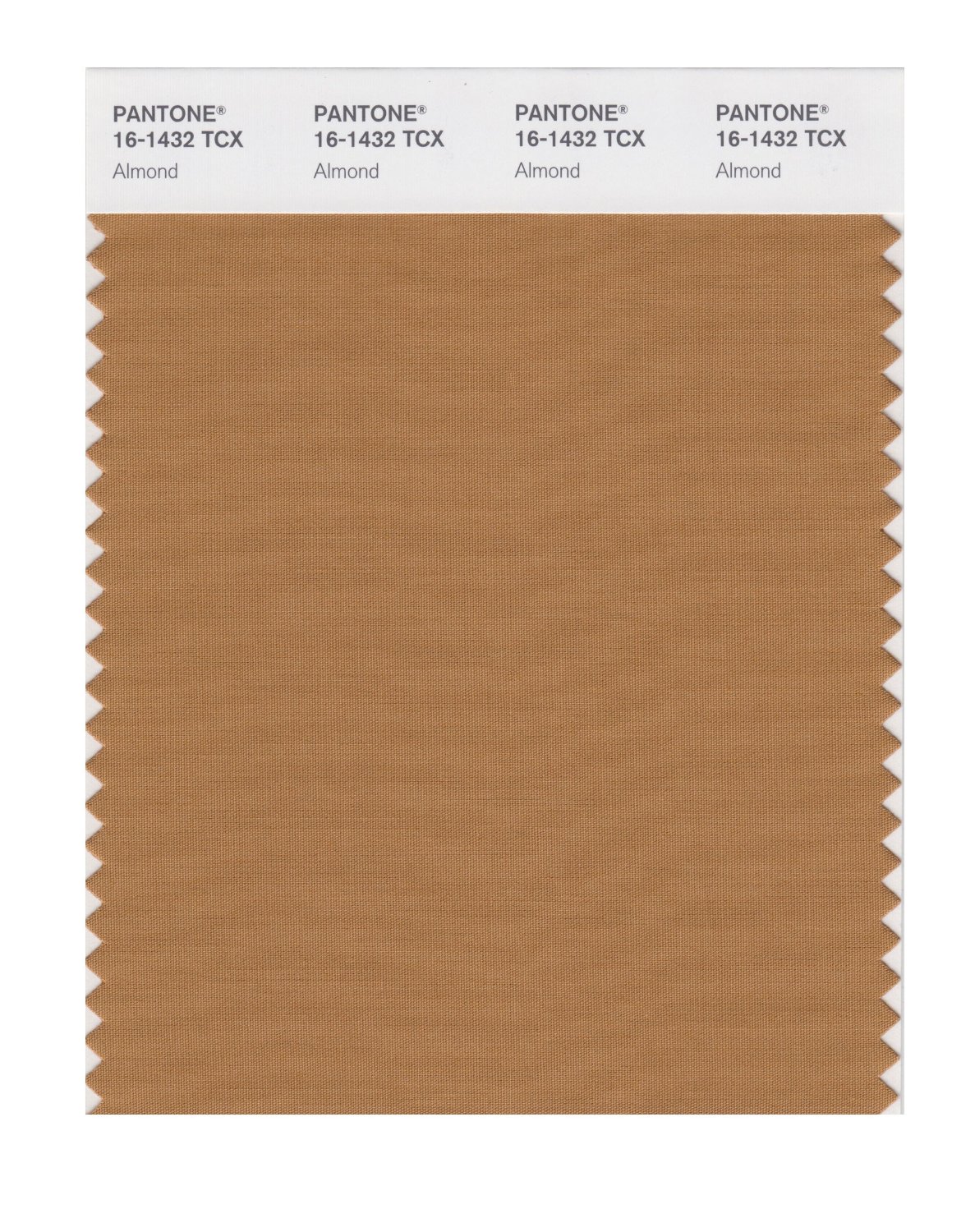 Pantone Cotton Swatch 16-1432 Almond