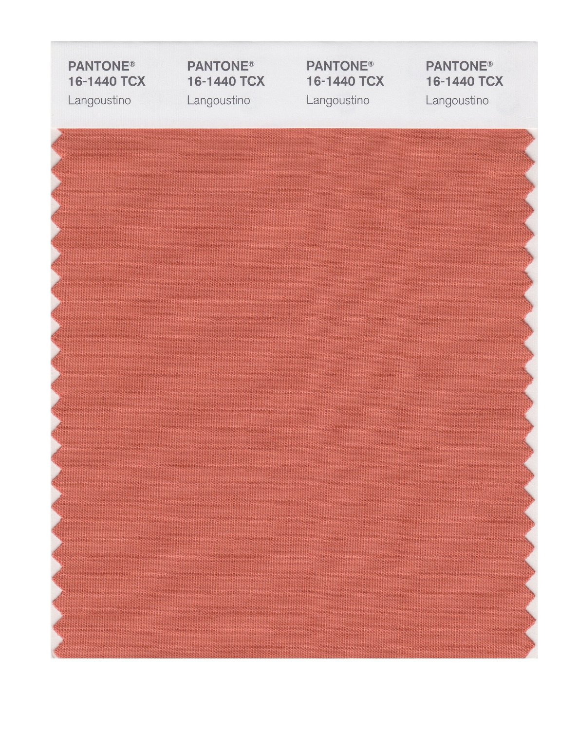 Pantone Cotton Swatch 16-1440 Langastino