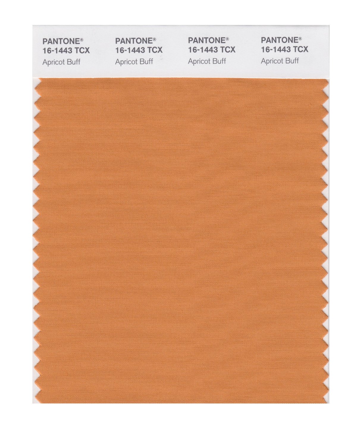 Pantone Cotton Swatch 16-1443 Apricot Buff