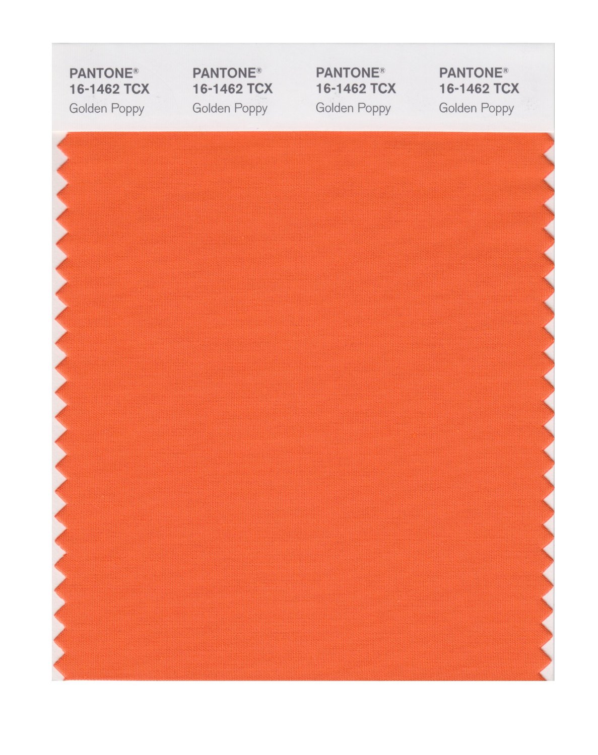 Pantone Cotton Swatch 16-1462 Golden Poppy