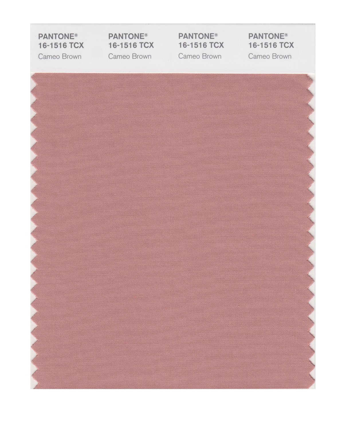 Pantone Cotton Swatch 16-1516 Cameo Brown