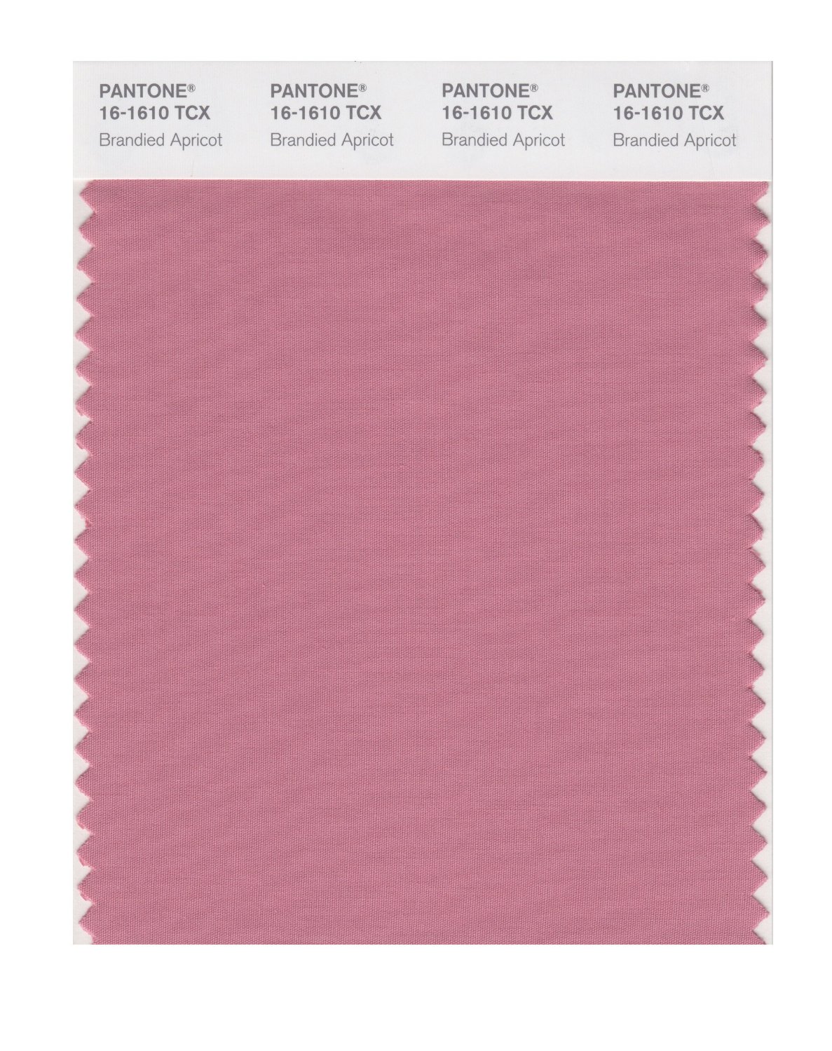 Pantone Cotton Swatch 16-1610 Brandied Aprico