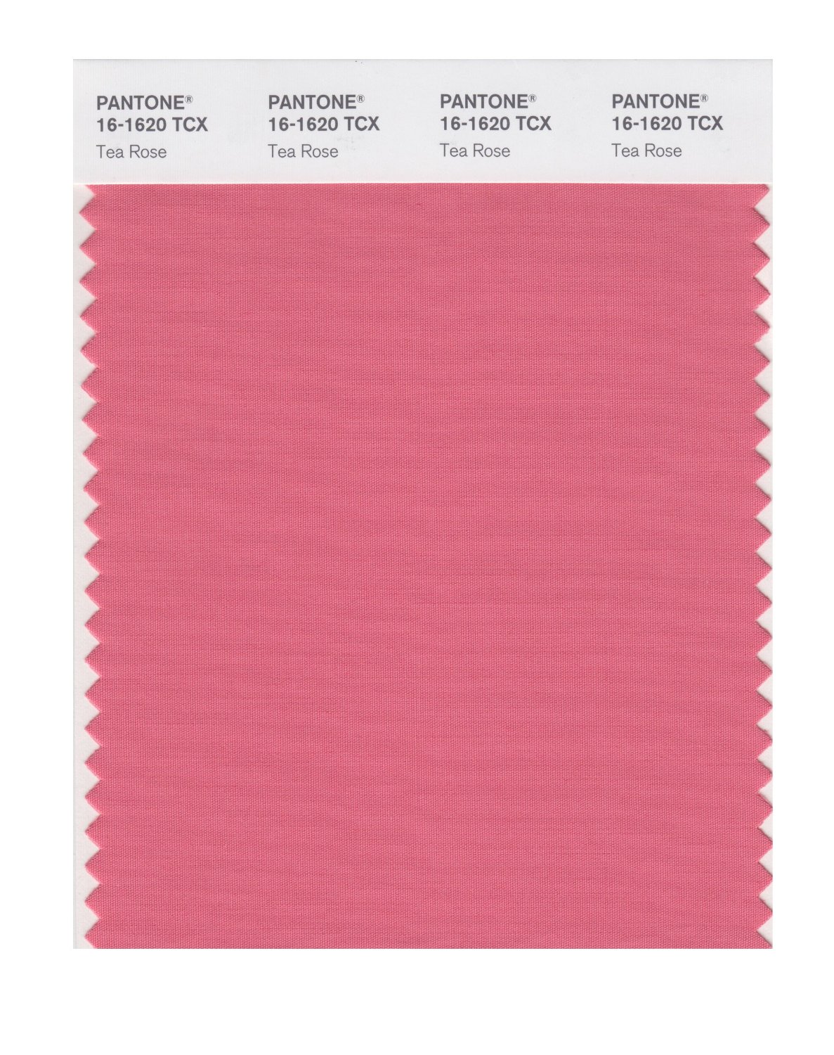 Pantone Cotton Swatch 16-1620 Tea Rose